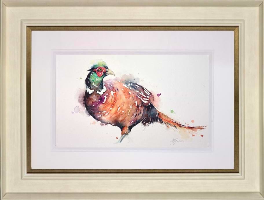 Fancy Pheasant