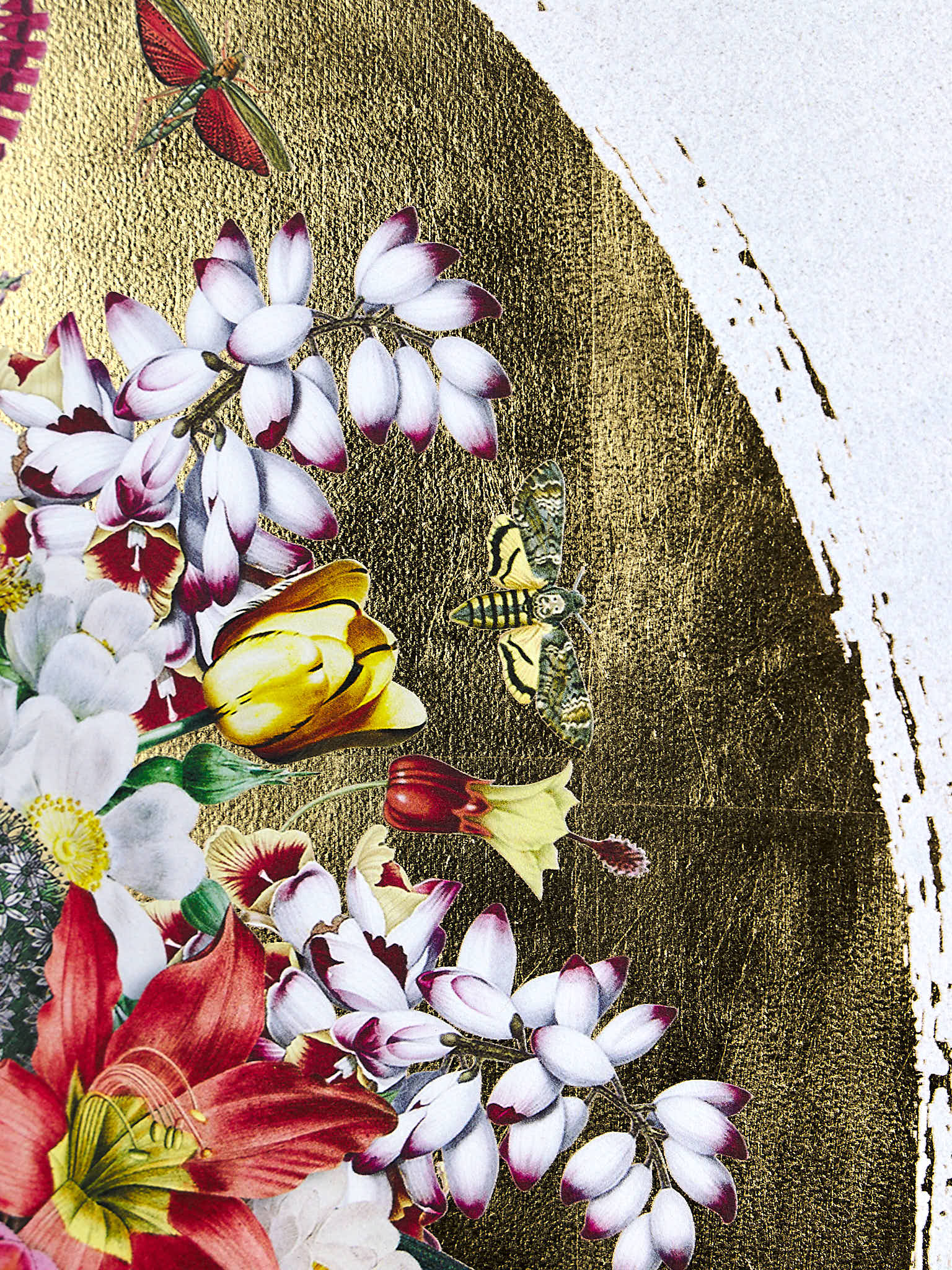 Nature's Alchemy I