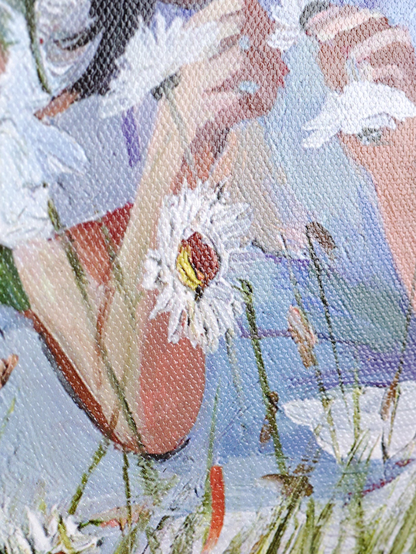 Daisy Whispers