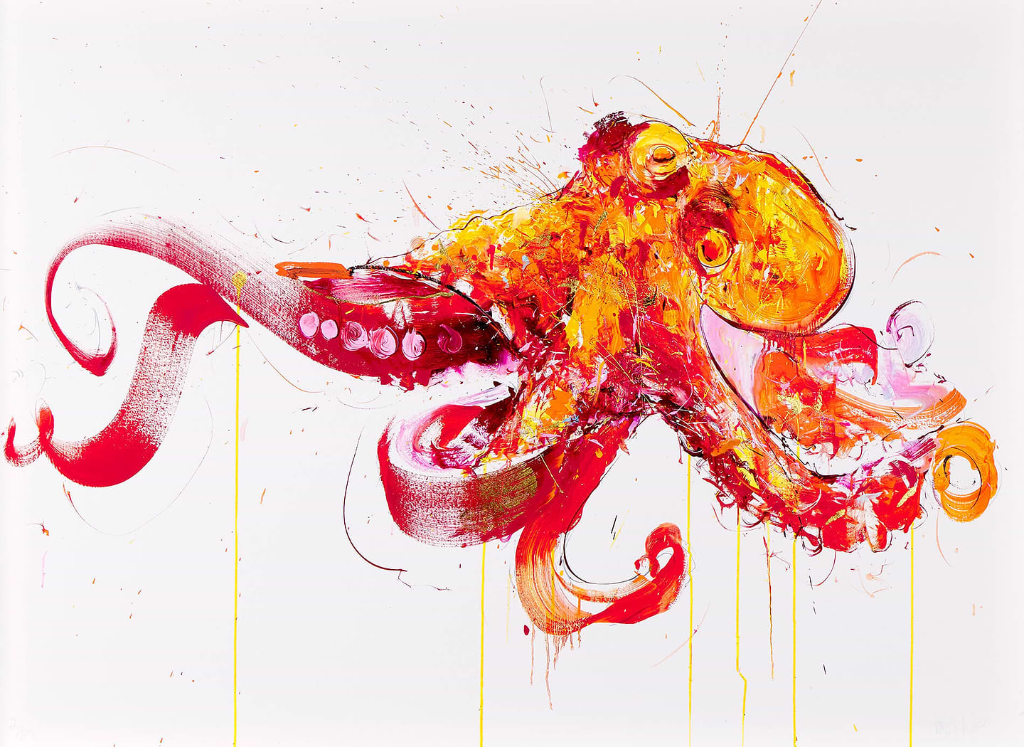 Octopus (You Are Beautiful)