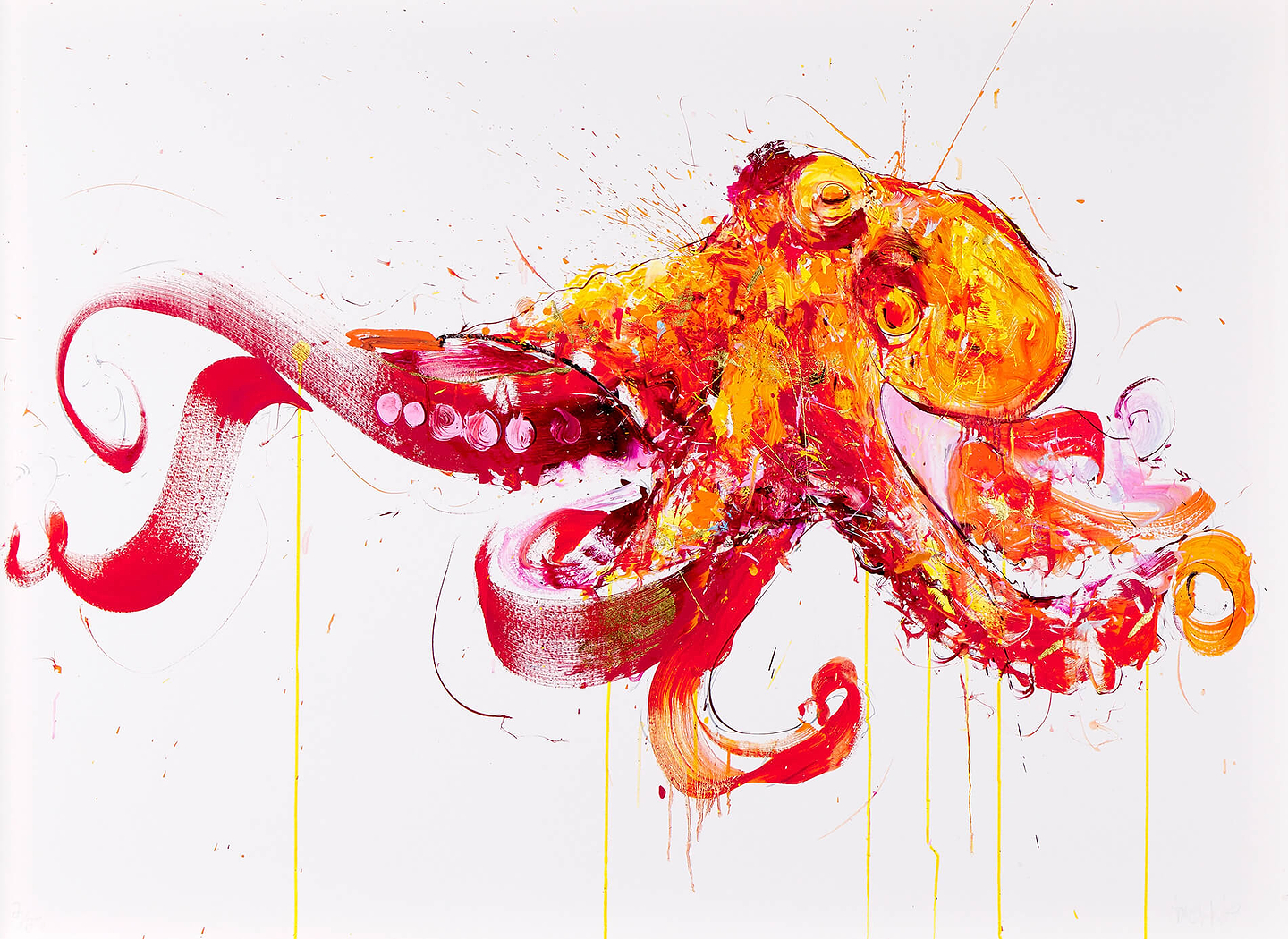 Octopus (You Are Beautiful)