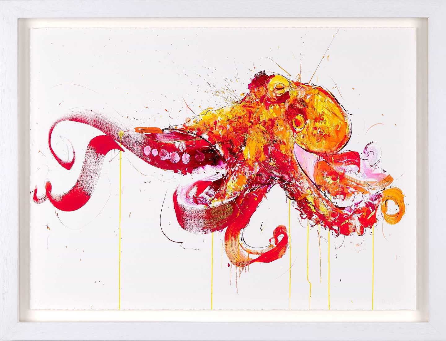 Octopus (You Are Beautiful)
