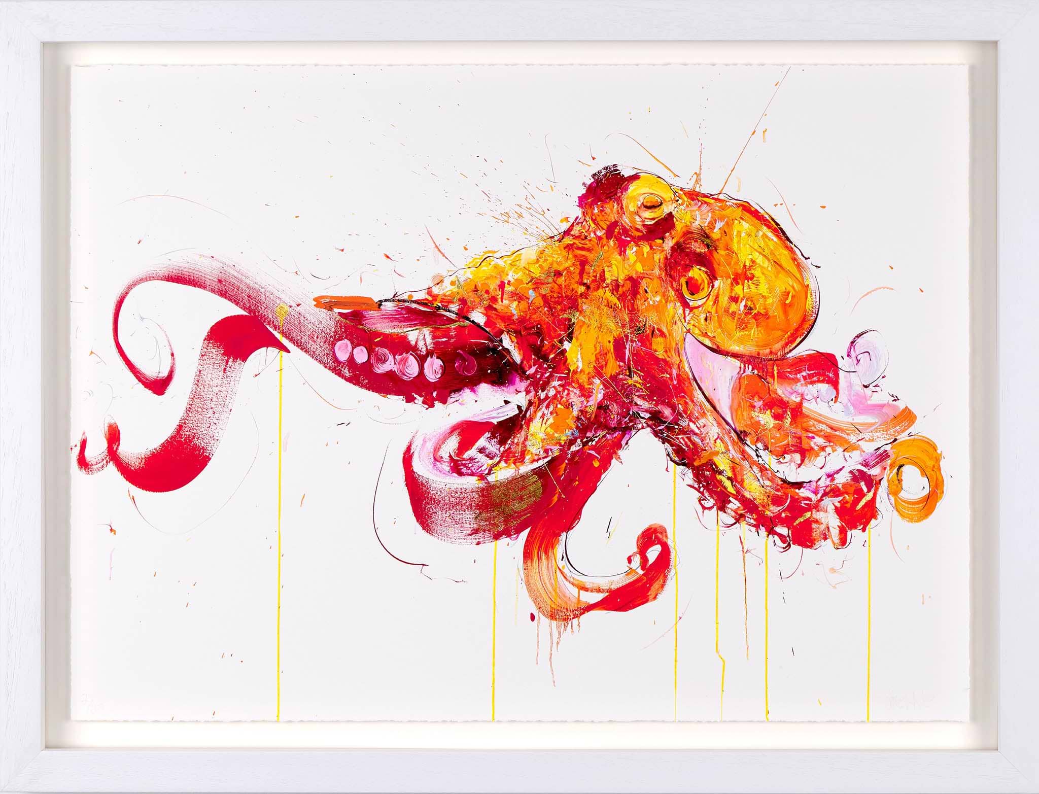 Octopus (You Are Beautiful)