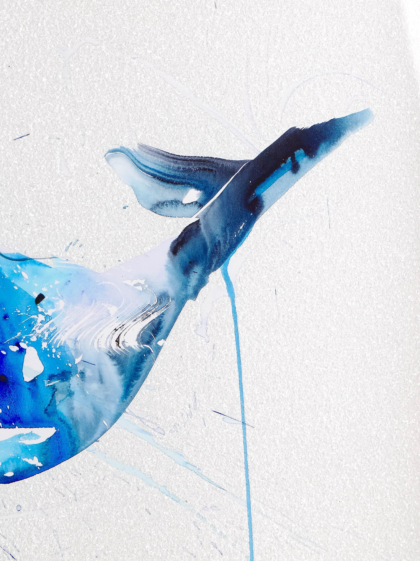 Humpback Whale