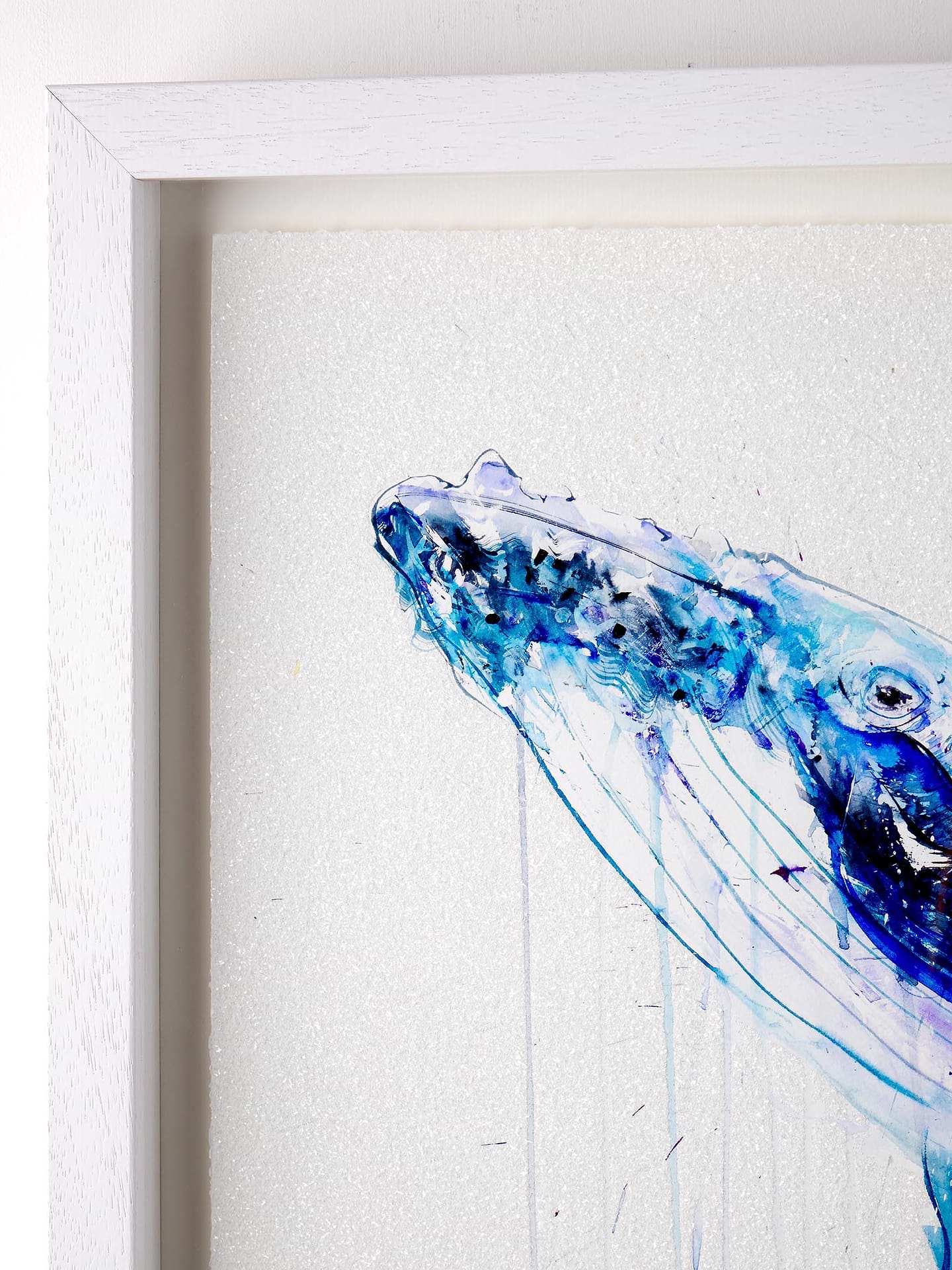 Humpback Whale