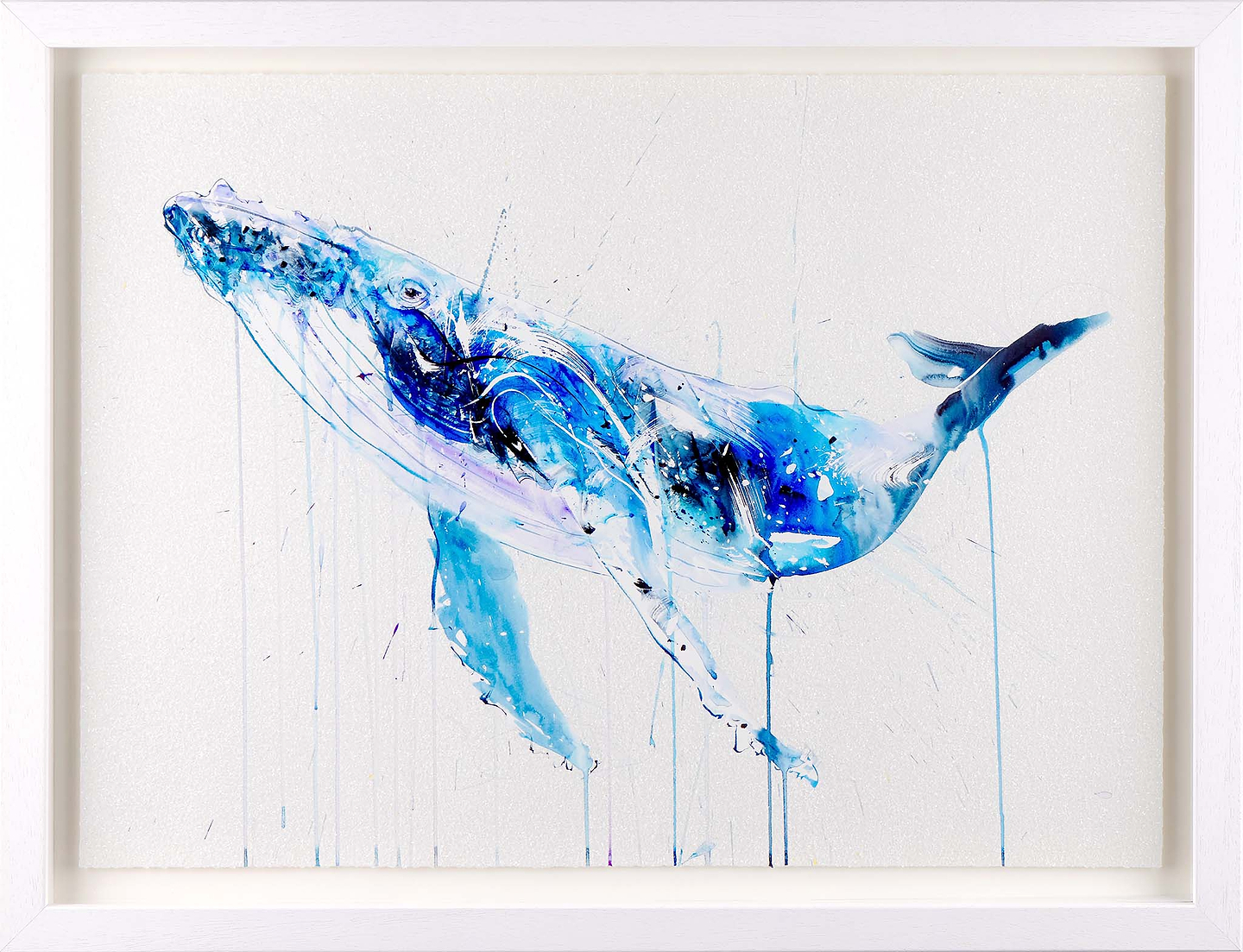 Humpback Whale