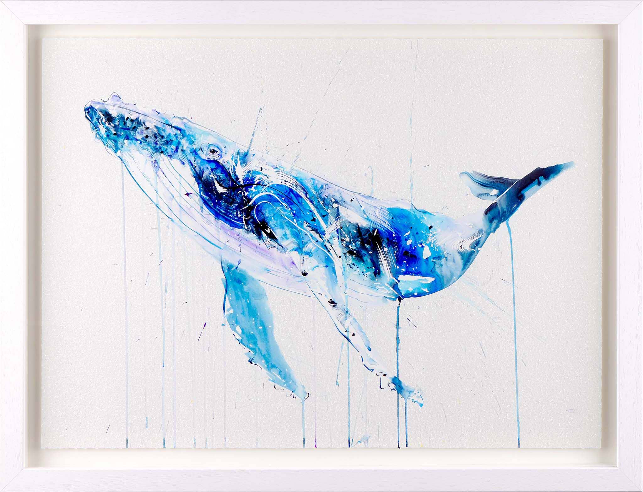 Humpback Whale