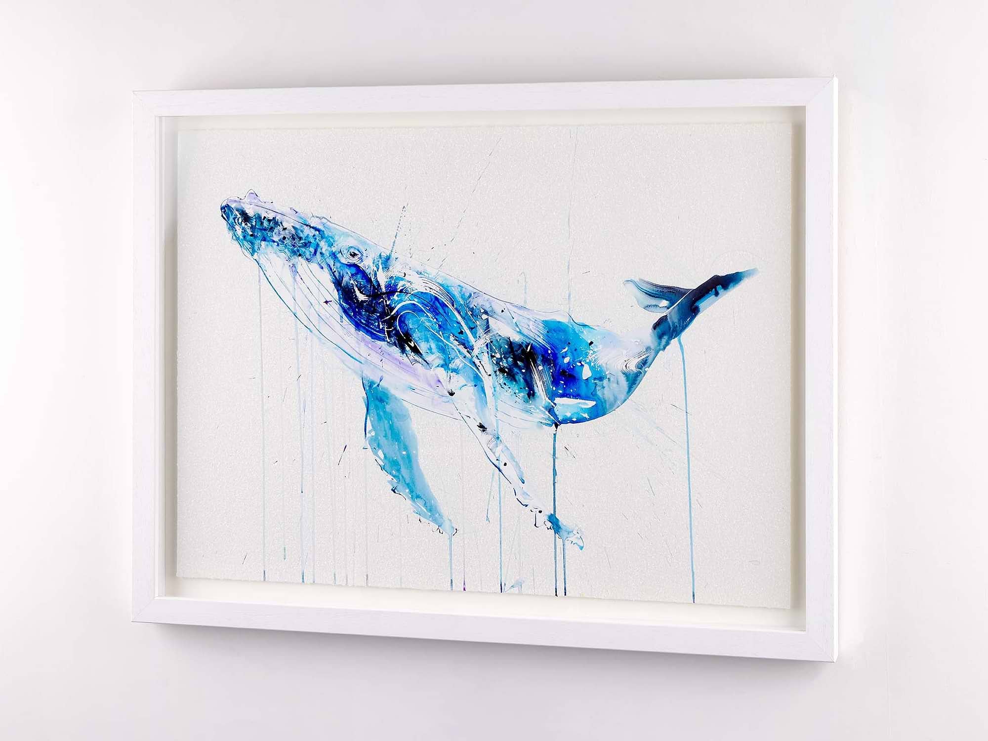 Humpback Whale