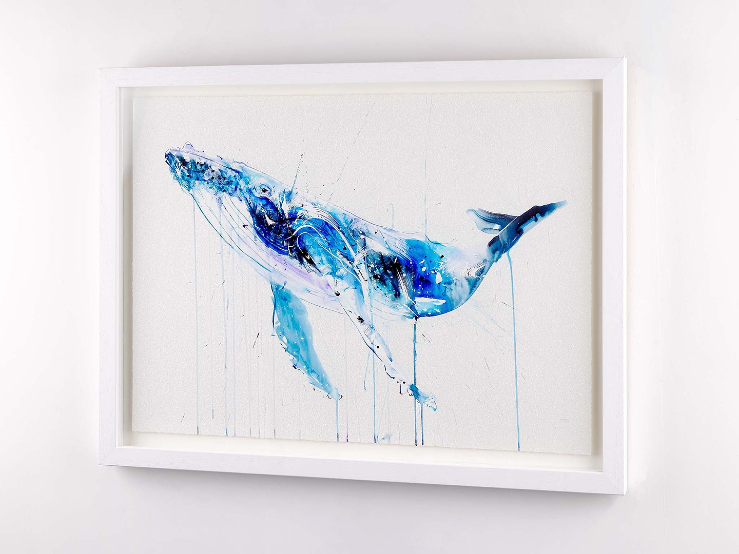 Humpback Whale