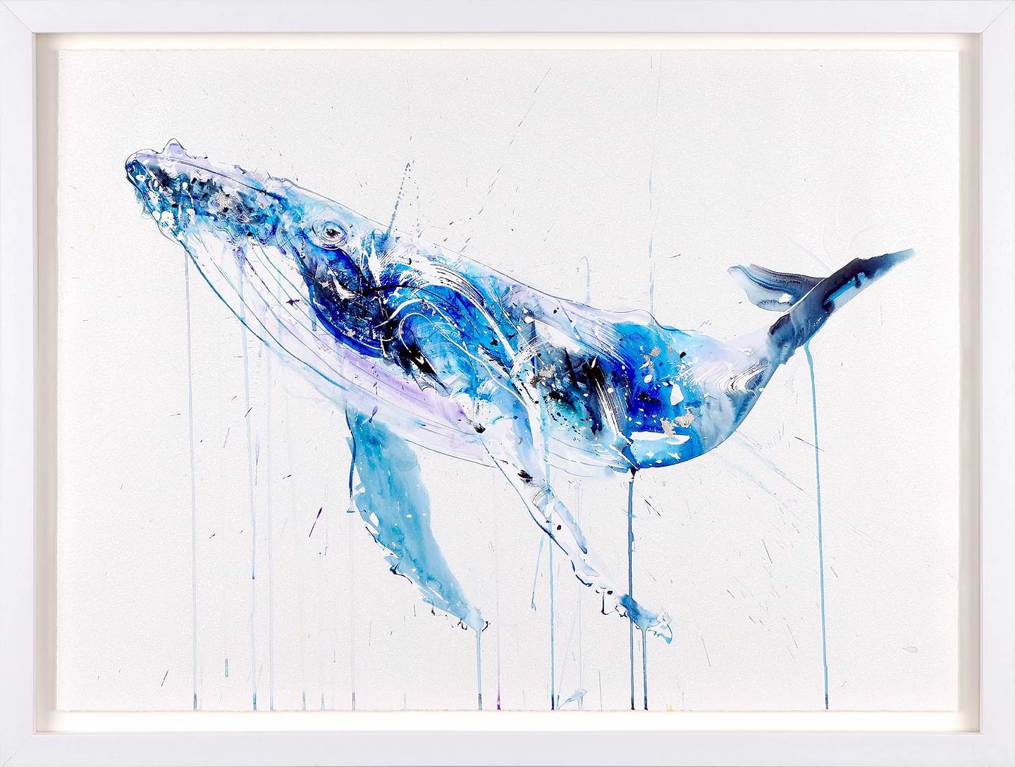 Humpback Whale Deluxe