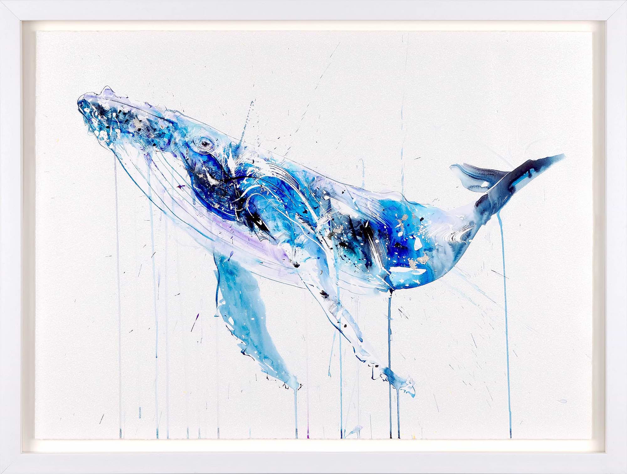 Humpback Whale Deluxe