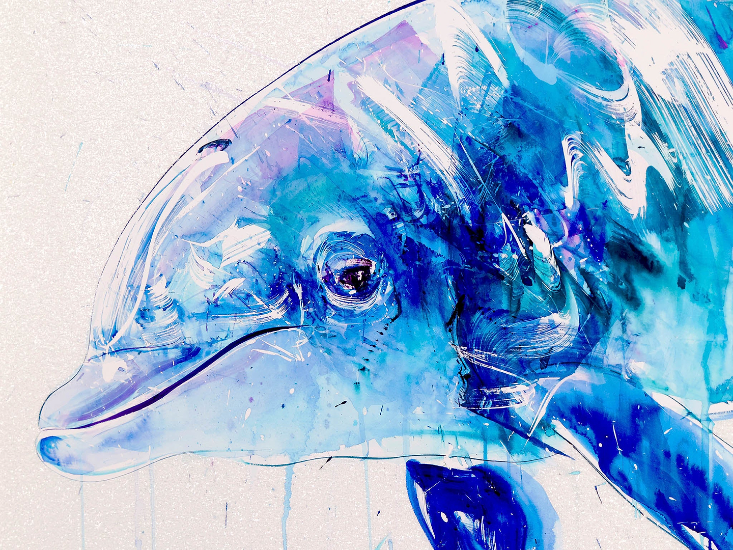 Dolphin