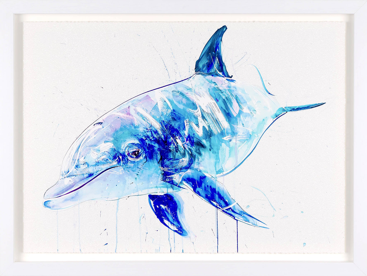 Dolphin