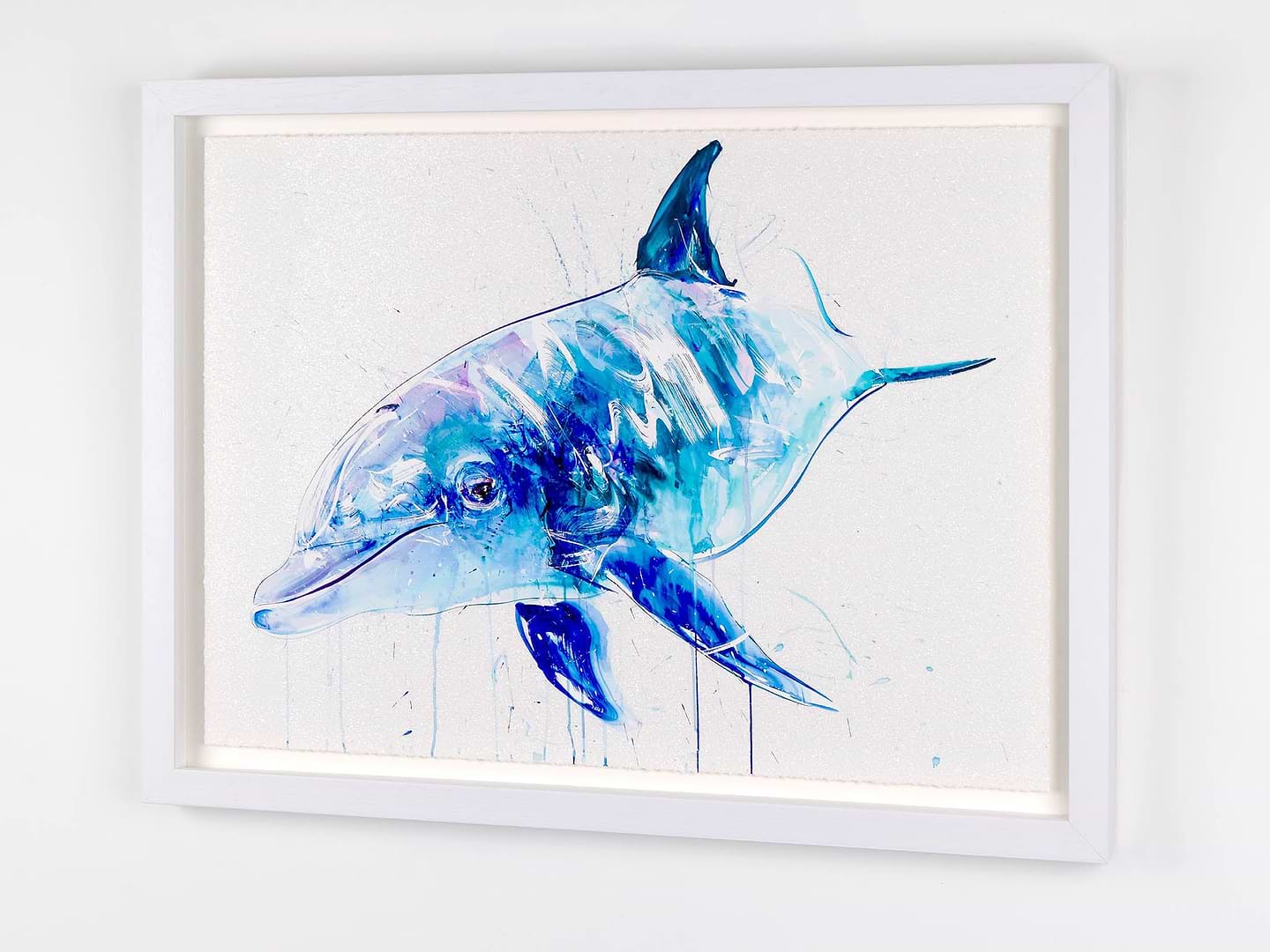 Dolphin