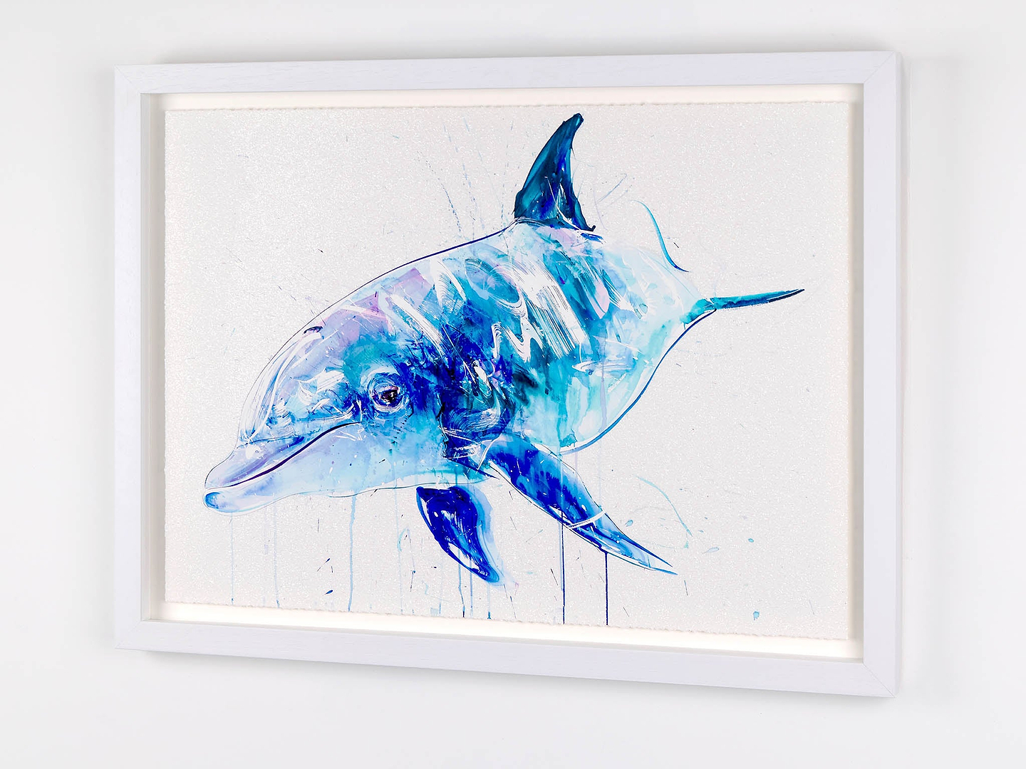 Dolphin