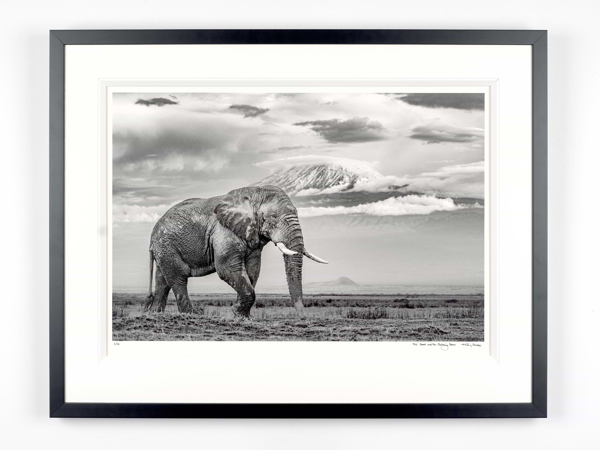 The Giant And The Gathering Storm