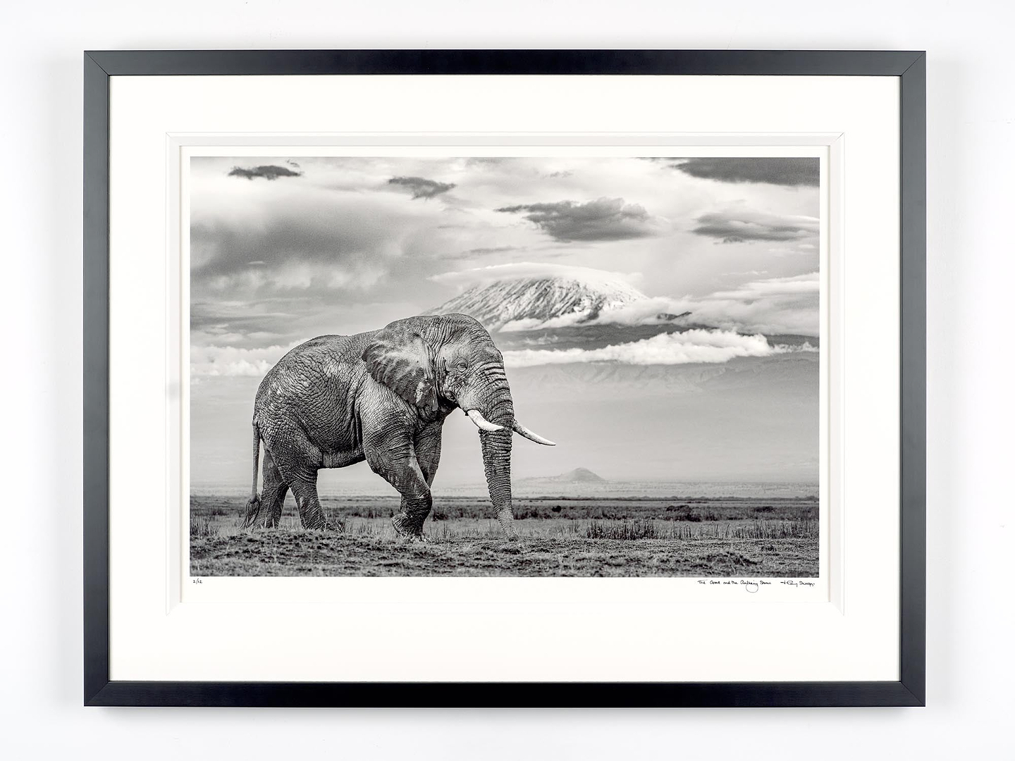 The Giant And The Gathering Storm
