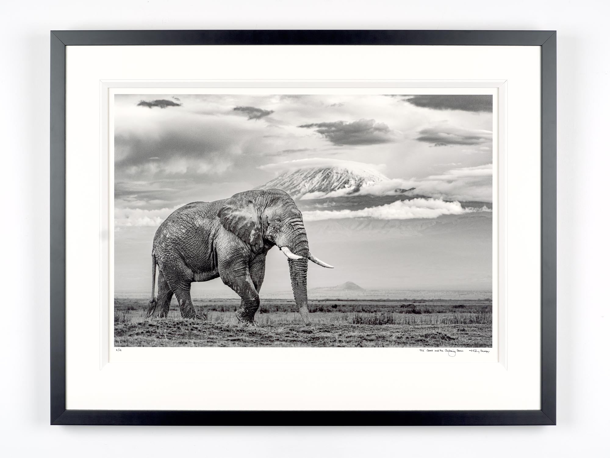 The Giant And The Gathering Storm
