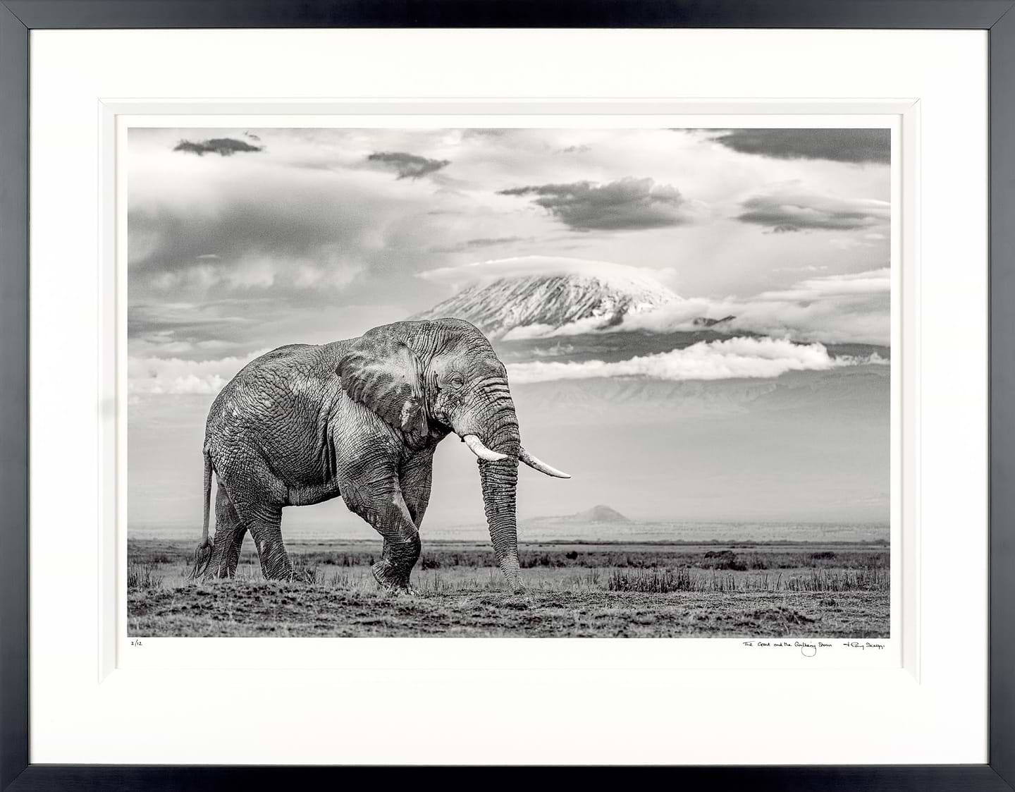 The Giant And The Gathering Storm