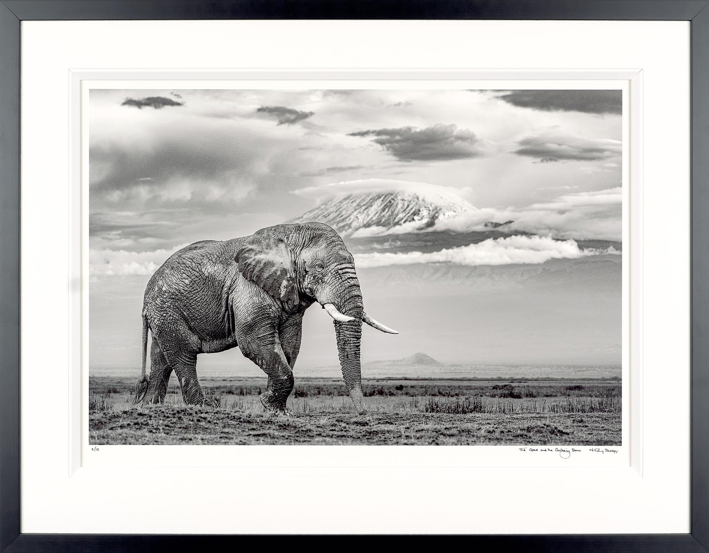 The Giant And The Gathering Storm