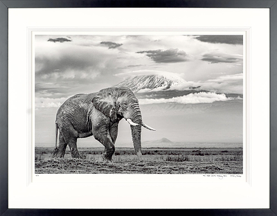 The Giant And The Gathering Storm