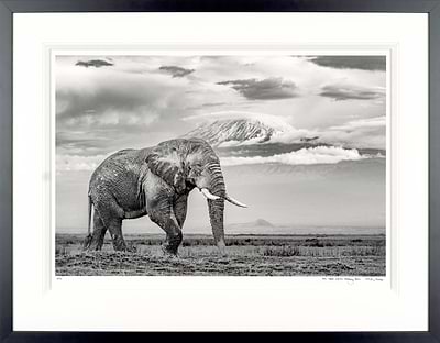 The Giant And The Gathering Storm