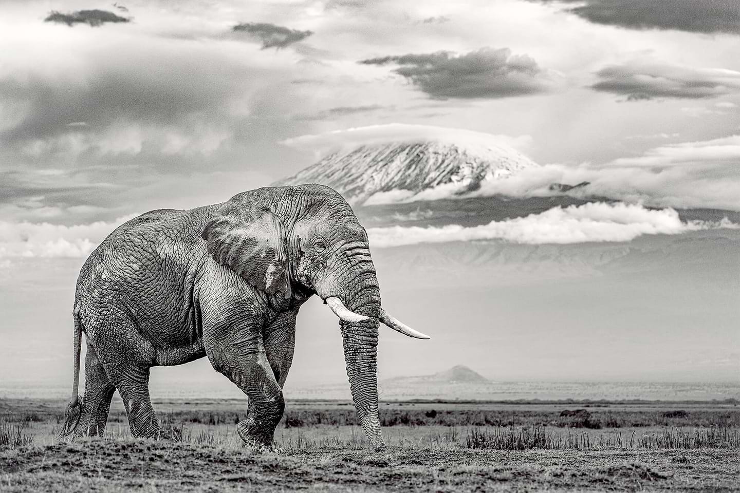 The Giant And The Gathering Storm