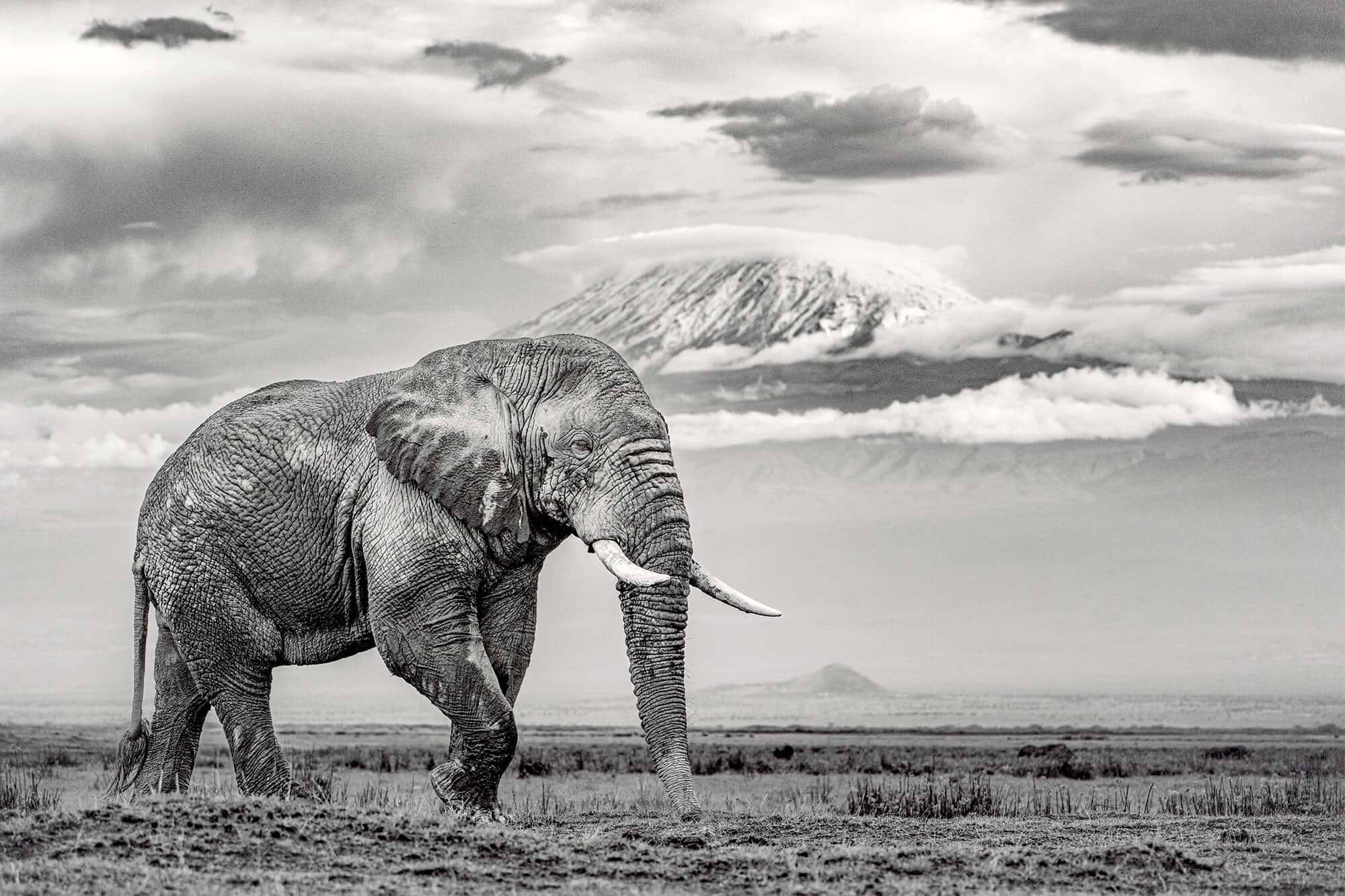 The Giant And The Gathering Storm