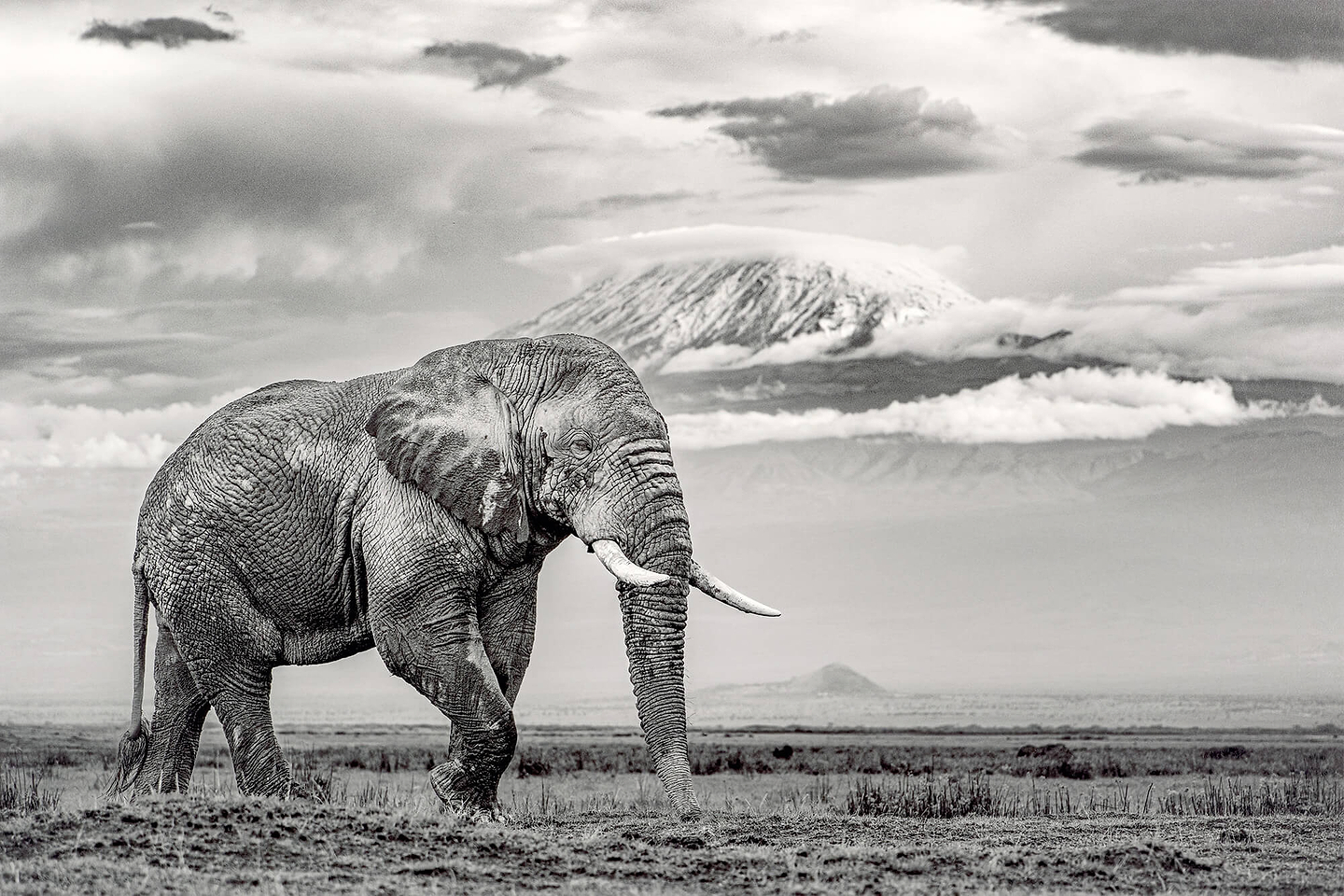 The Giant And The Gathering Storm