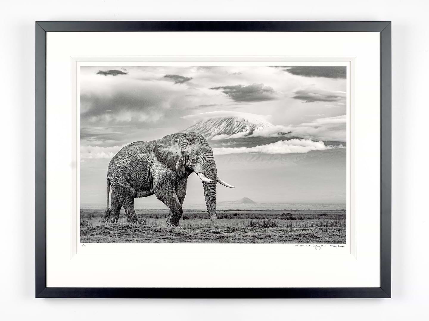 The Giant And The Gathering Storm