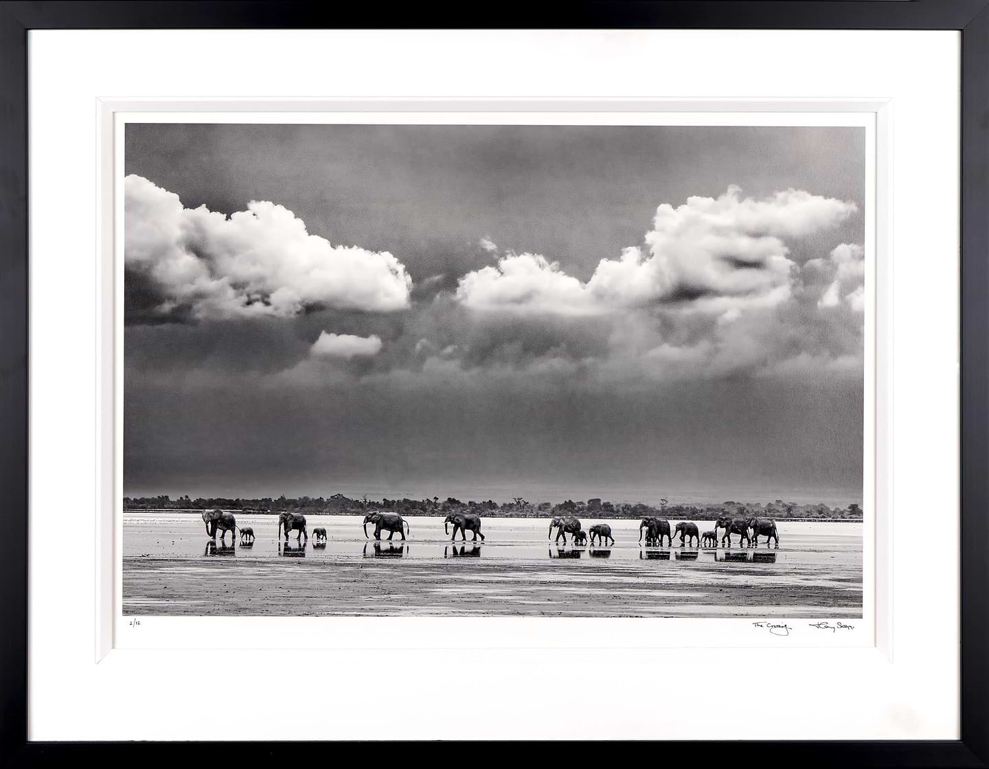 The Crossing