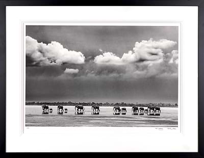 The Crossing