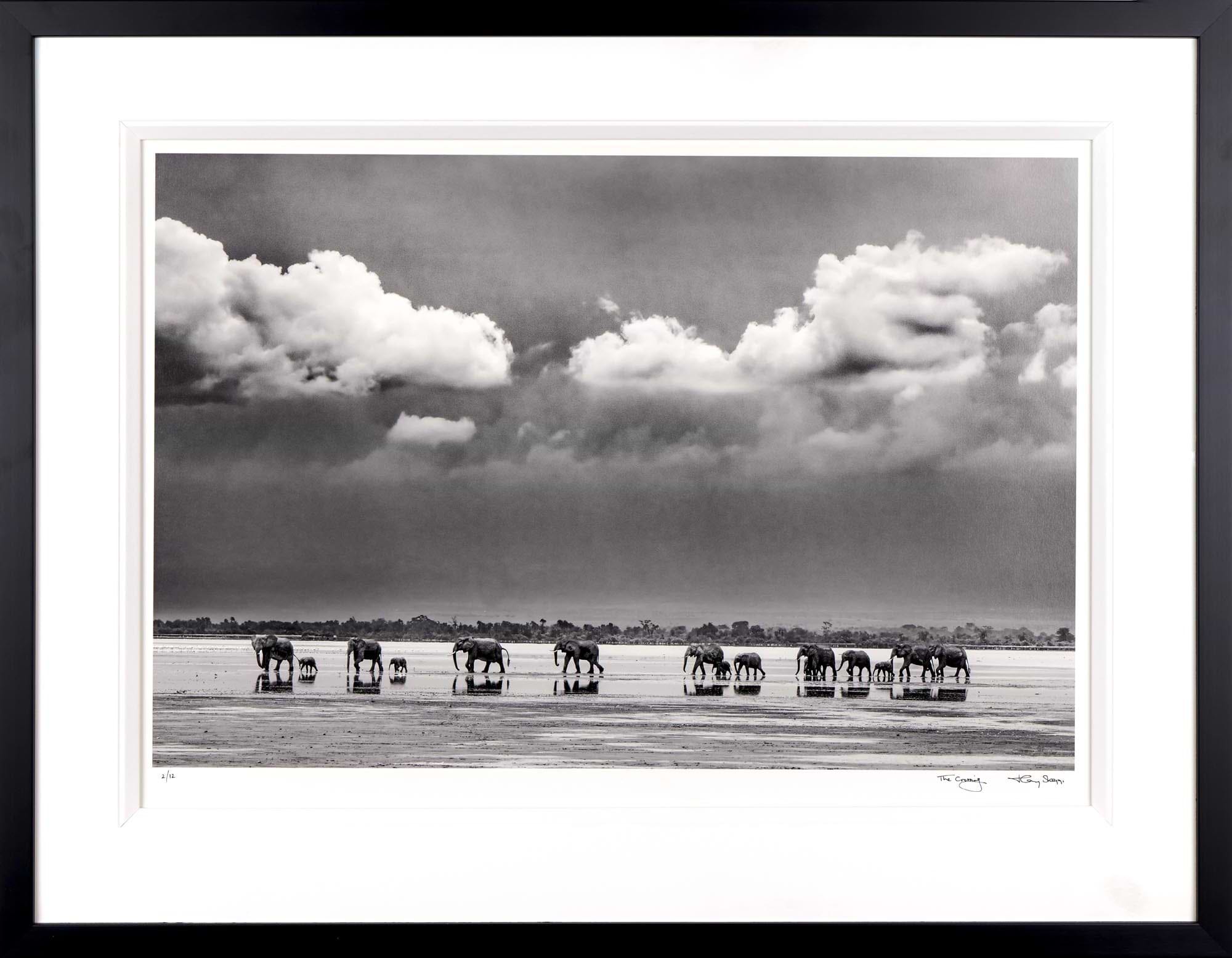The Crossing