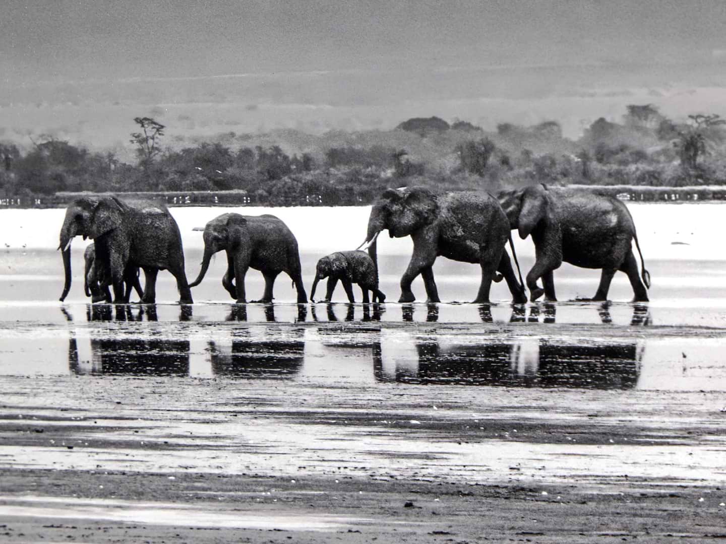 The Crossing
