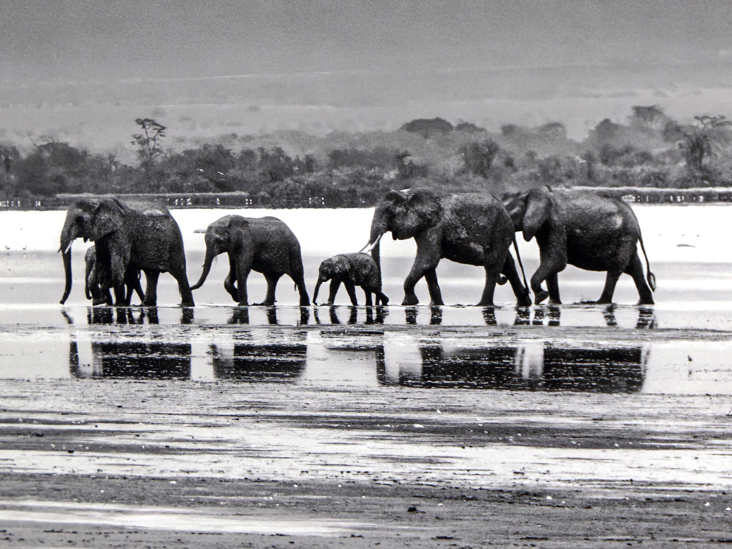 The Crossing