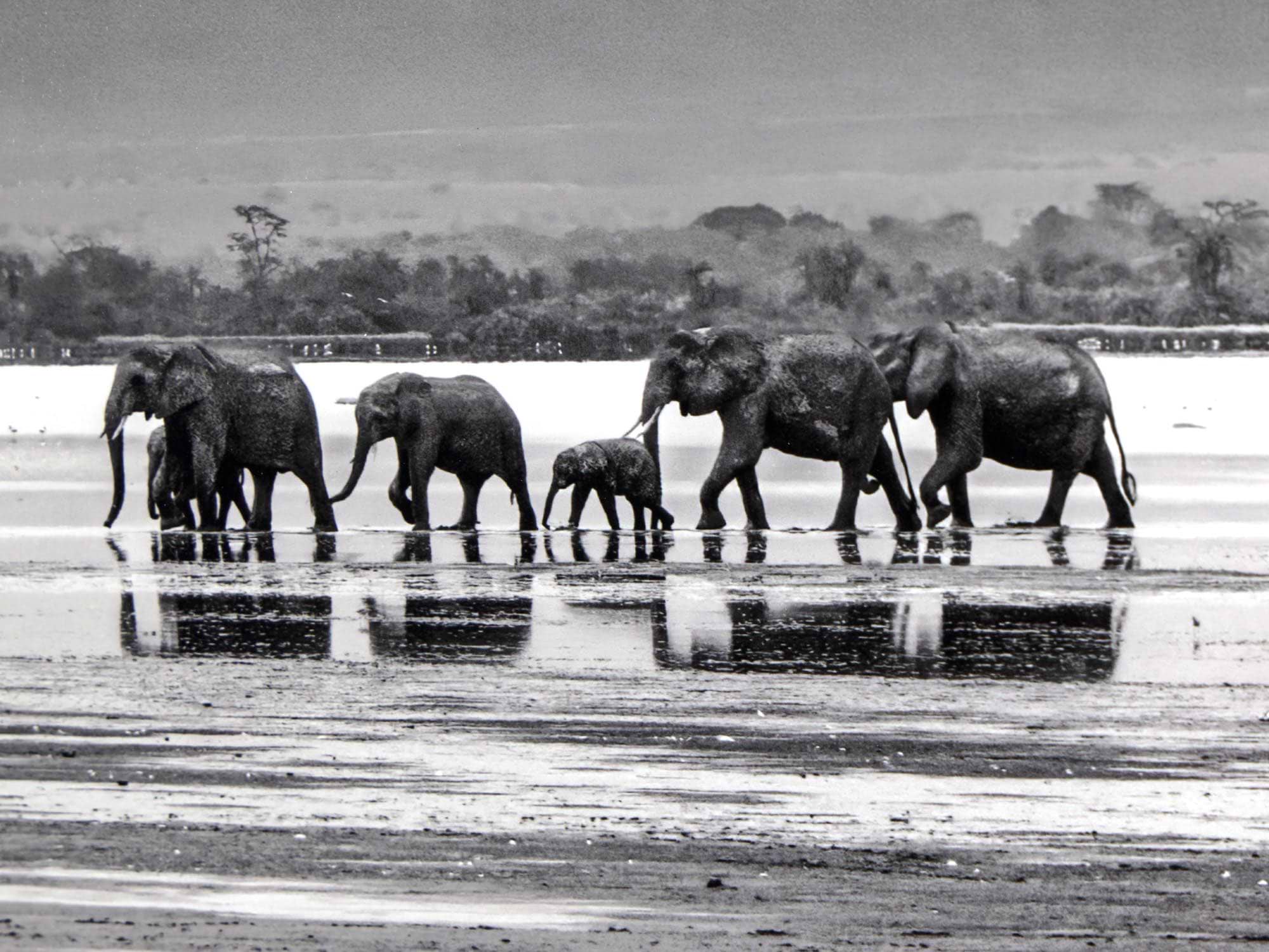 The Crossing