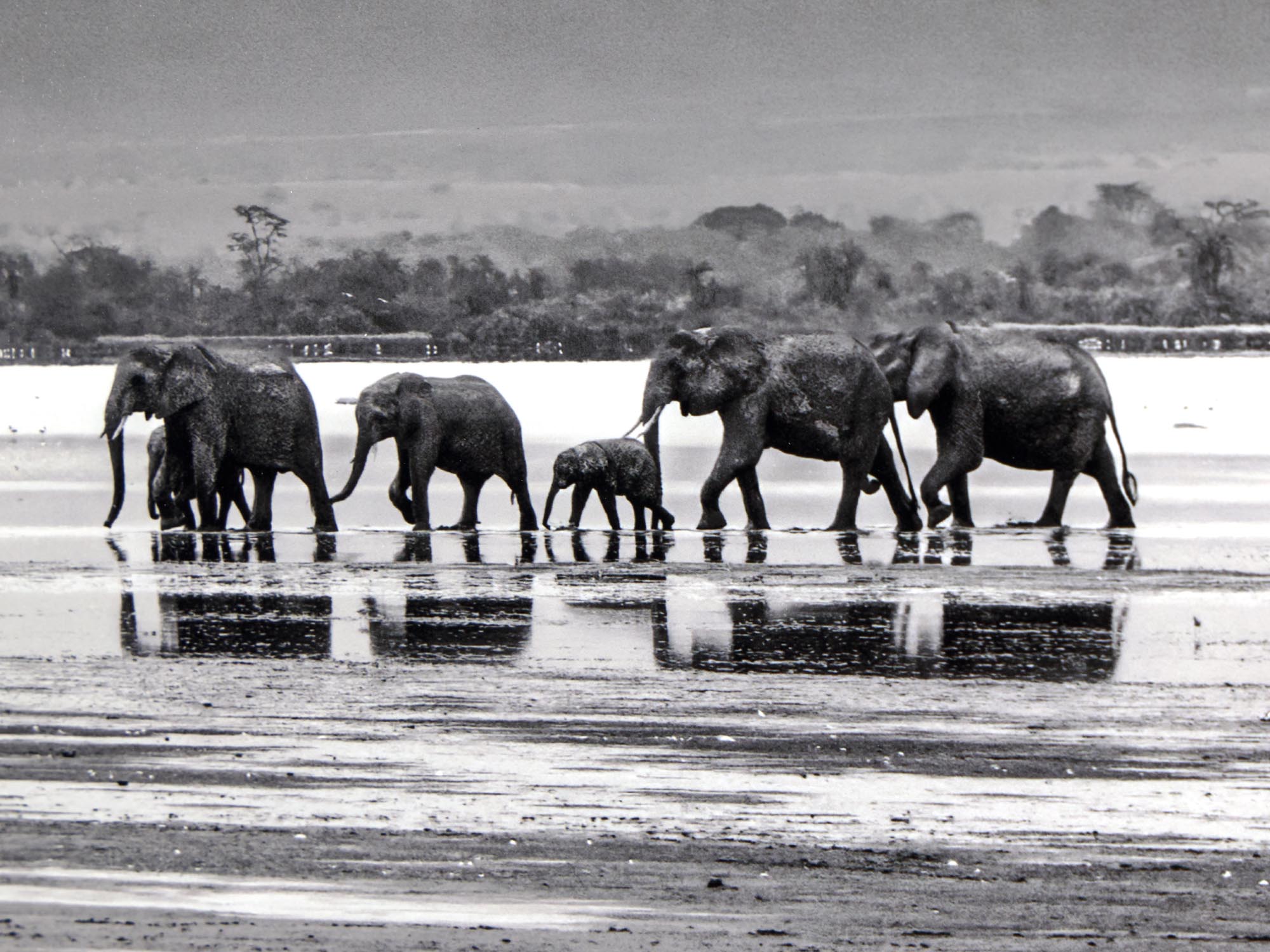The Crossing