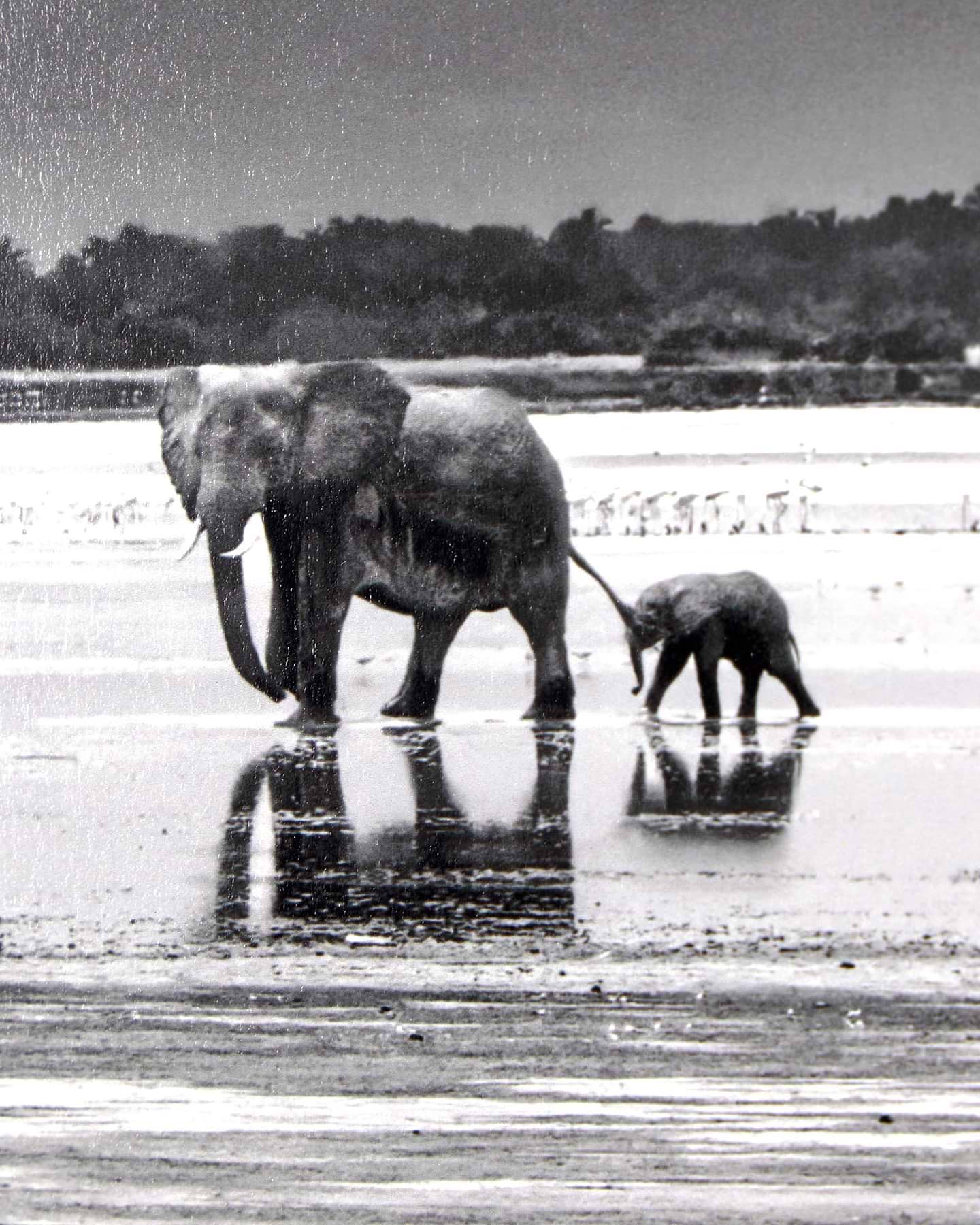 The Crossing