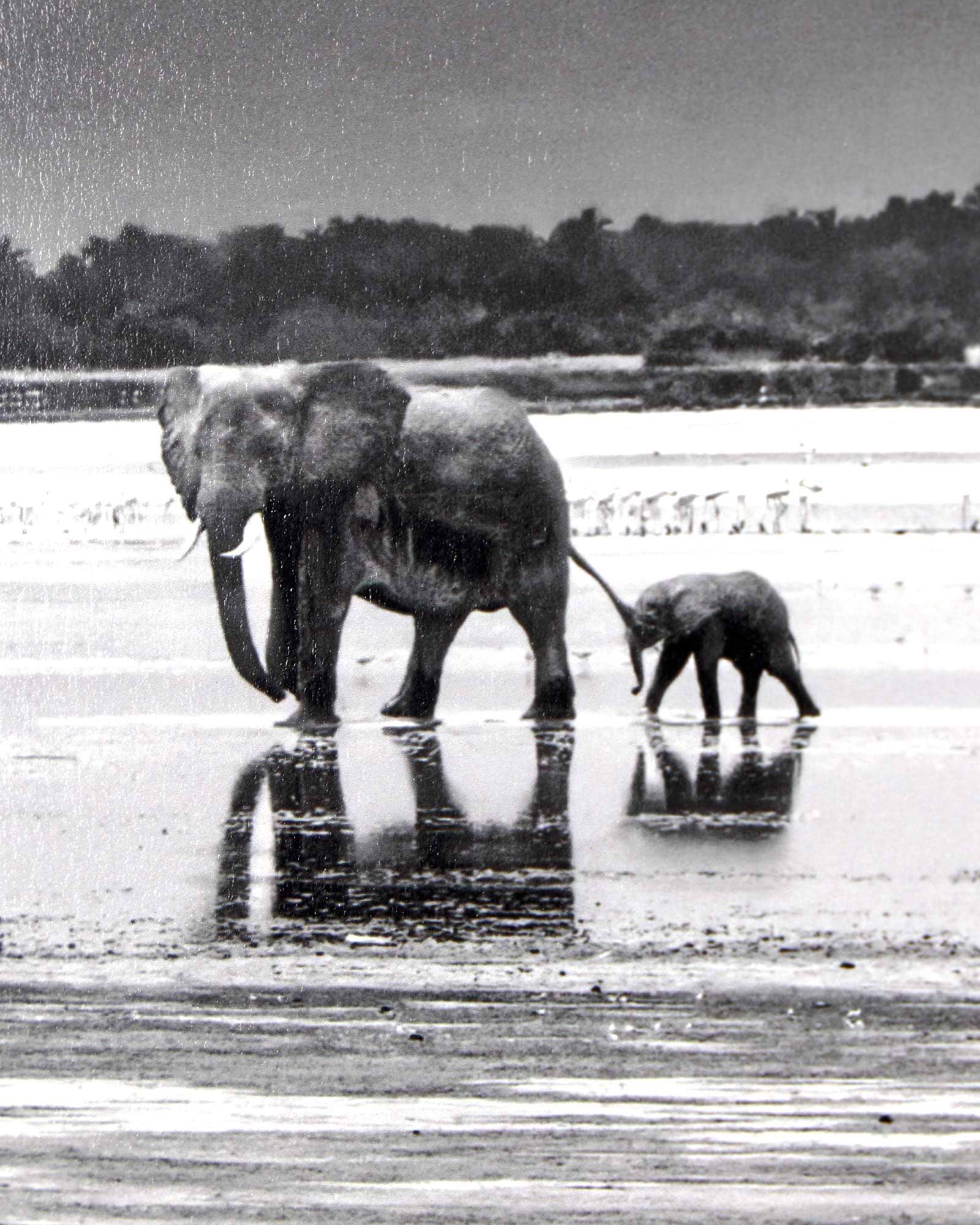 The Crossing