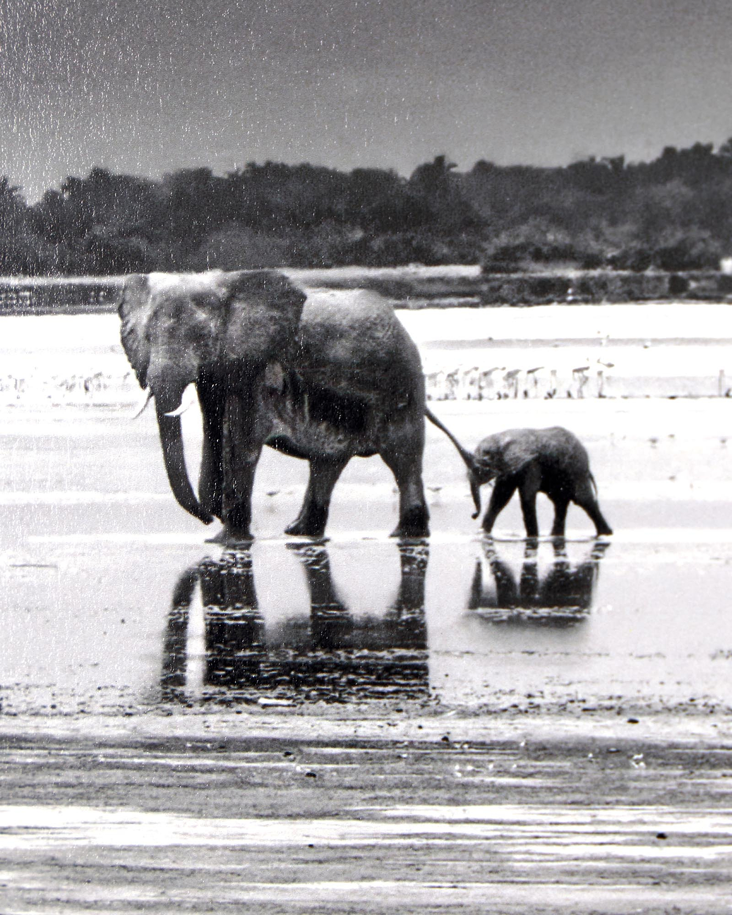 The Crossing