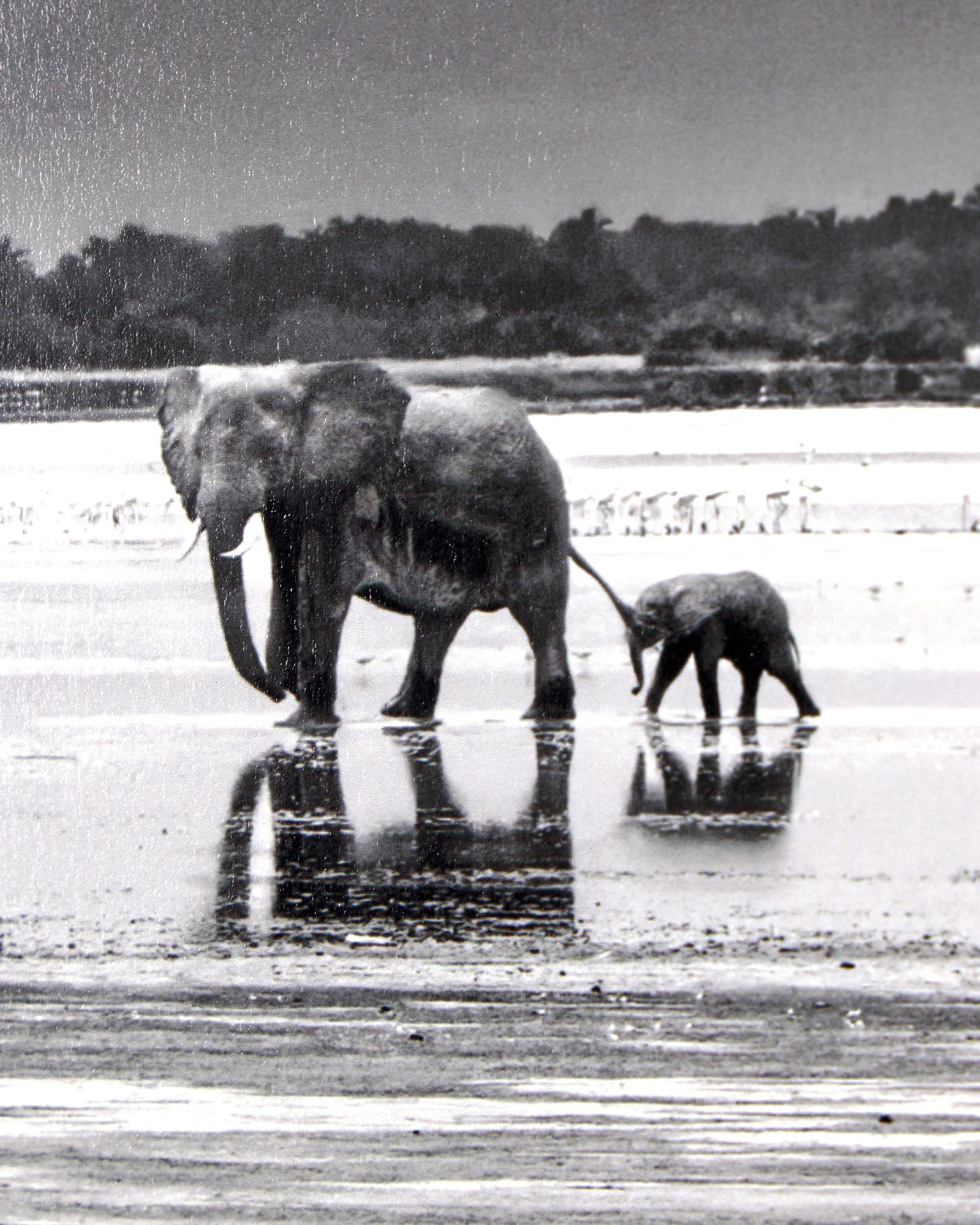 The Crossing