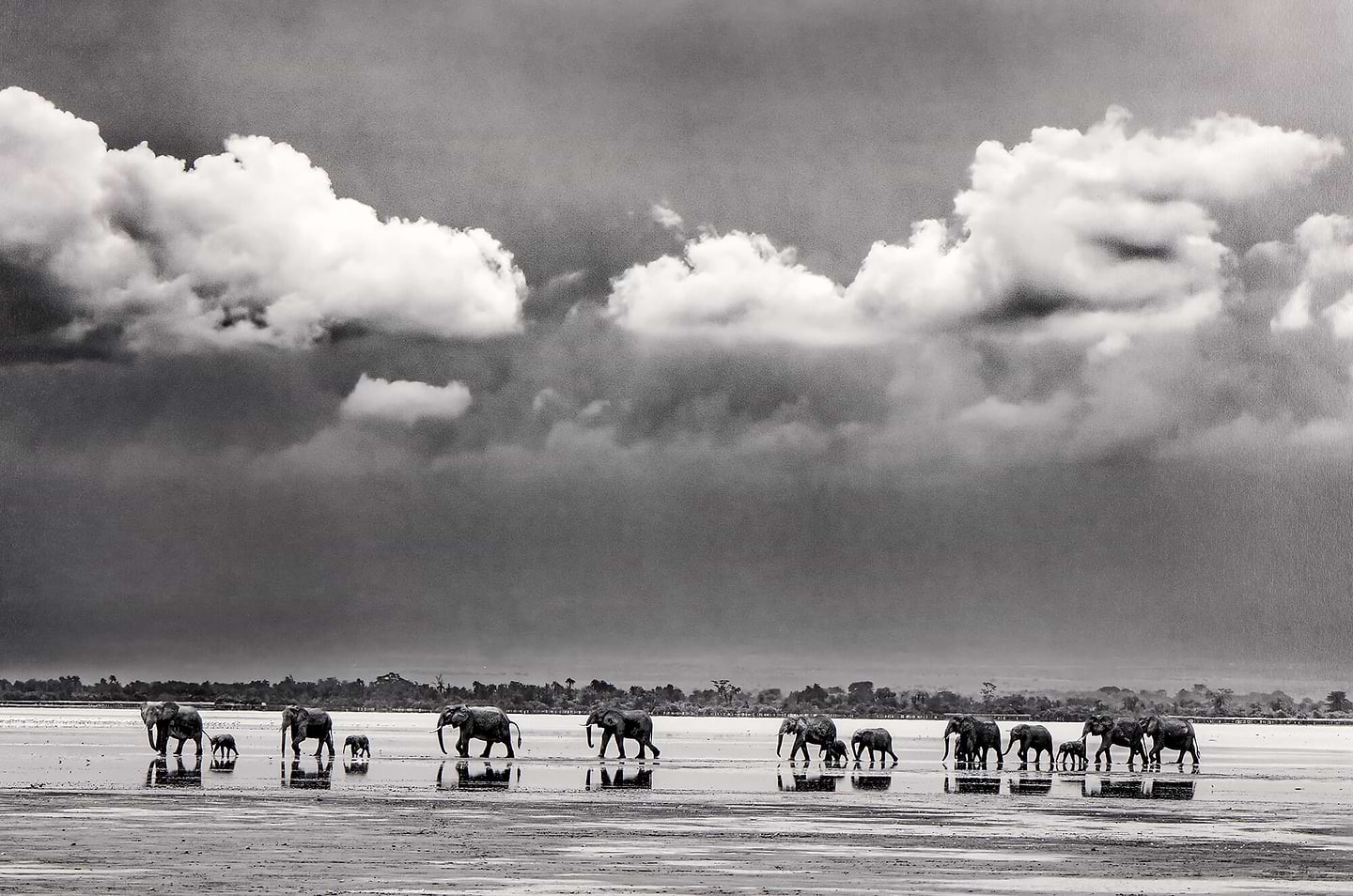 The Crossing