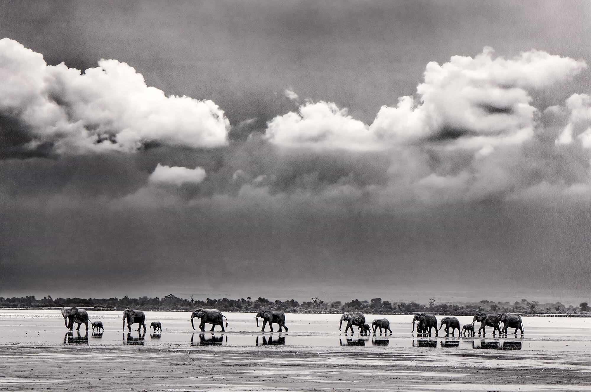 The Crossing