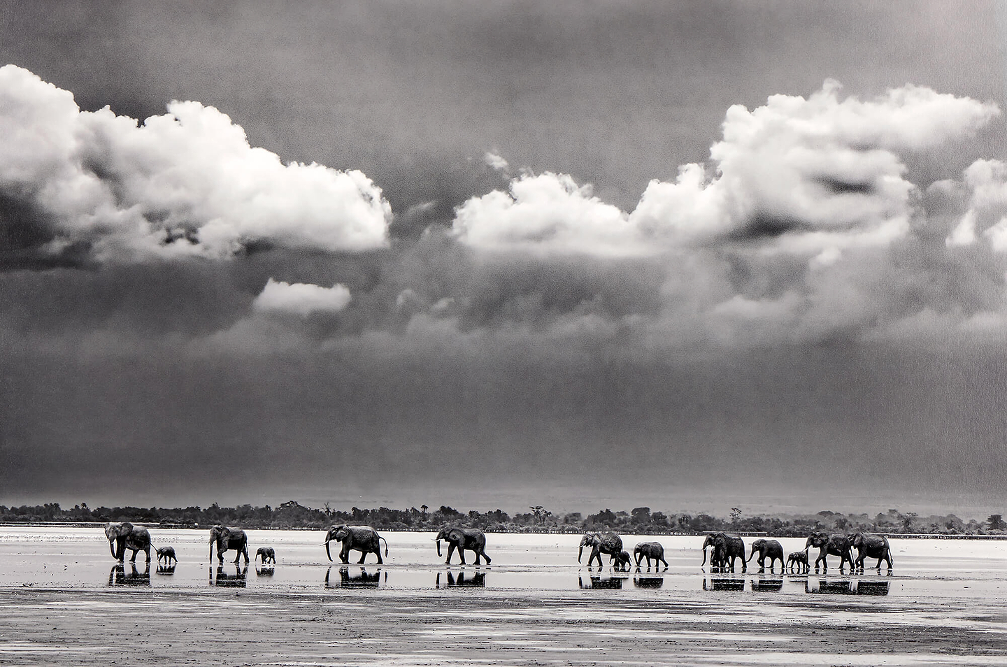 The Crossing