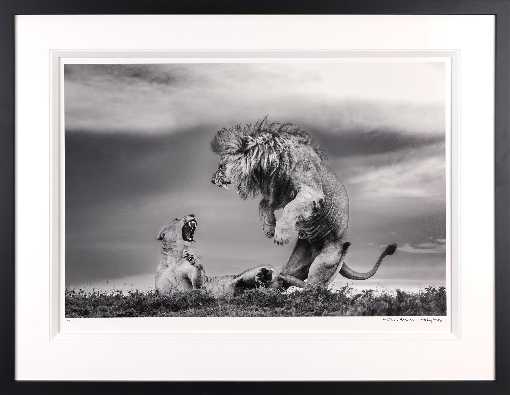 The Storm Between Us | Harry Skeggs – Clarendon Fine Art
