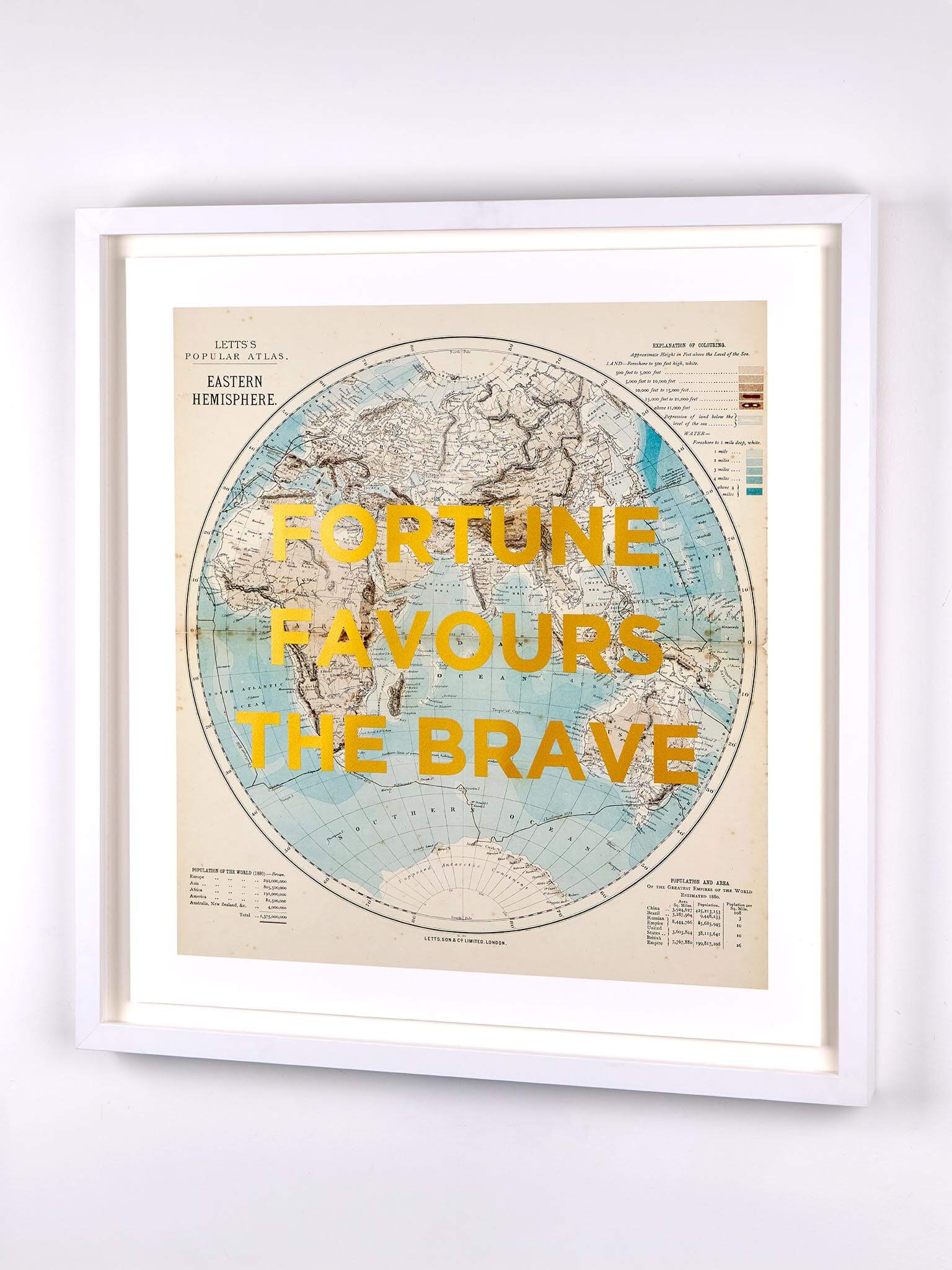 Fortune Favours The Brave