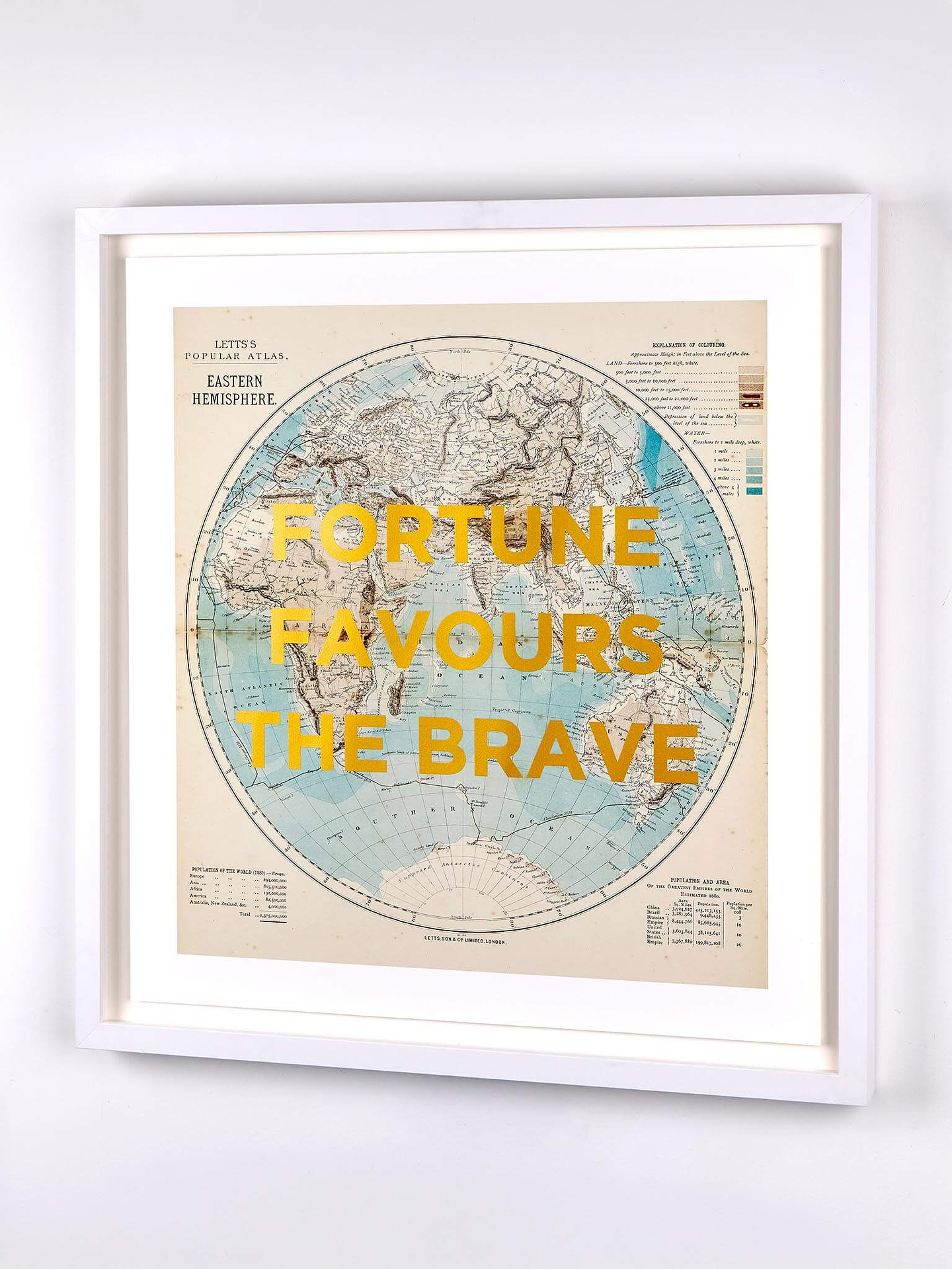 Fortune Favours The Brave