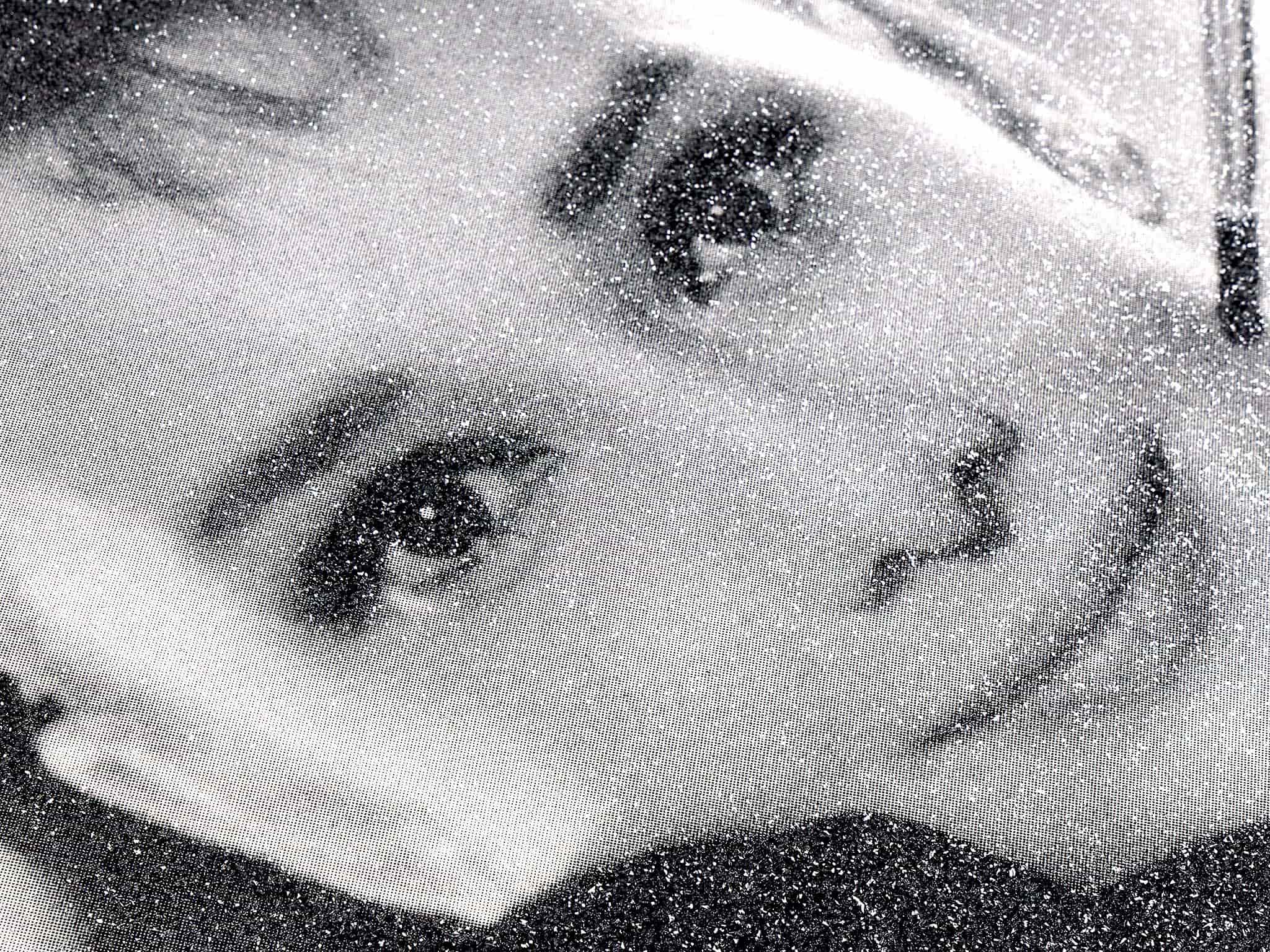 Audrey Hepburn (Black & White)