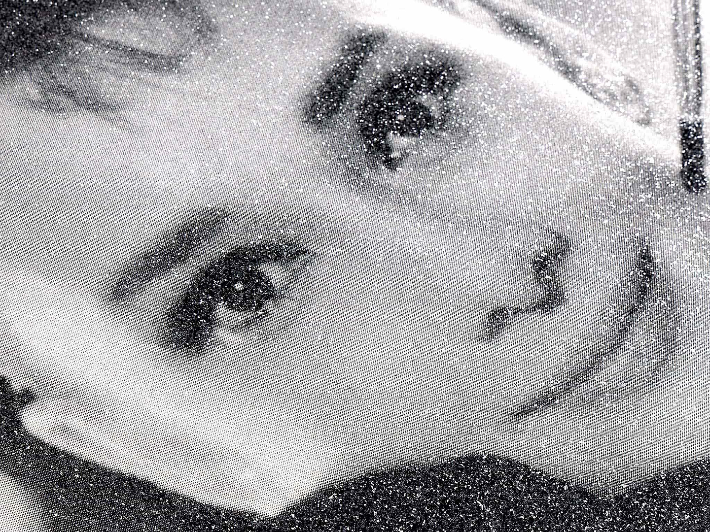 Audrey Hepburn (Black & White)