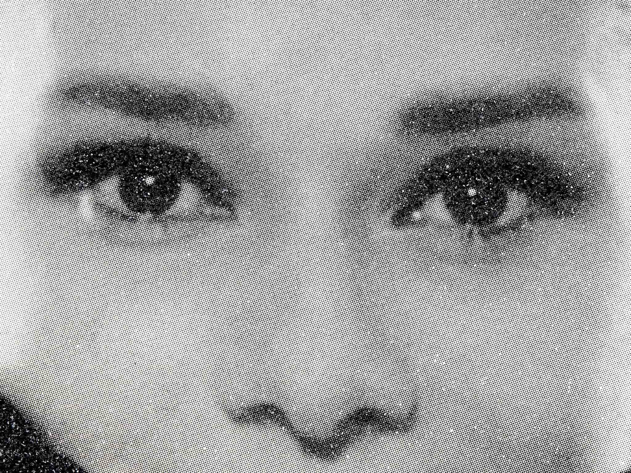 Audrey Hepburn (Black & White)